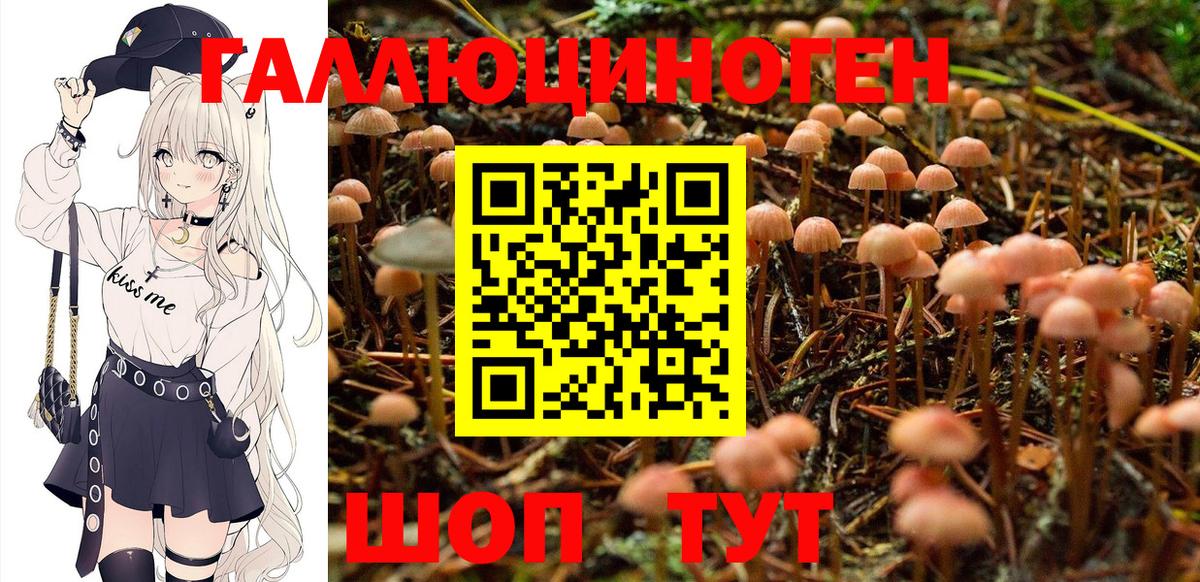 Галлюциногенные грибы прущие грибы  Галлюциногенные грибы Psilocybe  Вход с VPN  Рузаевка 